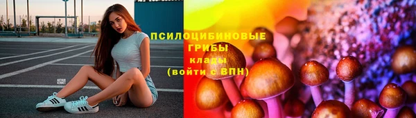 дживик Алзамай