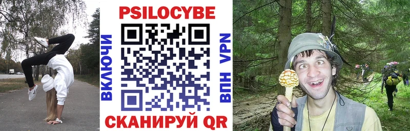 Галлюциногенные грибы мицелий  Печоры 